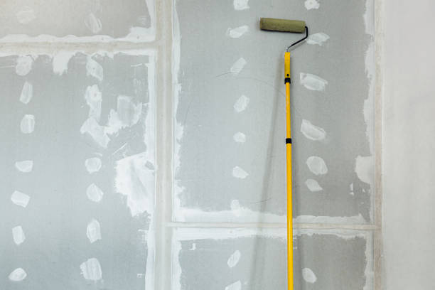 Best Mold-Related Health Consultation  in Northumberland, PA