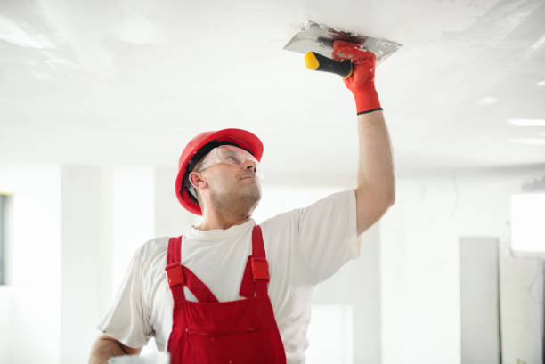 Best Residential Mold Inspection & Testing  in Northumberland, PA