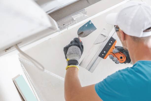 Best Air Quality Testing for Mold Spores  in Northumberland, PA